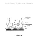 MICROWAVE ACCELERATED ASSAYS diagram and image