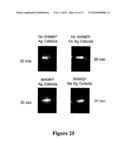 MICROWAVE ACCELERATED ASSAYS diagram and image