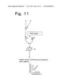 Reaction Vessel, Reaction Vessel Processing Apparatus and Diagnostic Apparatus diagram and image