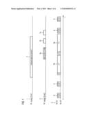 Method for Searching for Signals Among Interference Signals in a Multi-Channel Radio Receiver diagram and image