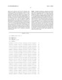 SUCROSE TRANSPORT PROTEINS diagram and image