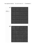 NUCLEIC ACID CHIP FOR OBTAINING BINDING PROFILE OF SINGLE STRAND NUCLEIC ACID AND UNKNOWN BIOMOLECULE, MANUFACTURING METHOD THEREOF AND ANALYSIS METHOD OF UNKNOWN BIOMOLECULE USING NUCLEIC ACID CHIP diagram and image