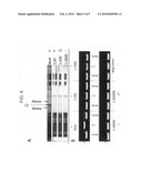 Multiplexed lateral flow microarray assay for detection of citrus pathogens Xylella fastidiosa and Xanthomonas axonopodis PV citri diagram and image