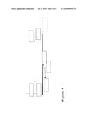 METHOD FOR ENGINEERING IMMUNOGLOBULINS diagram and image