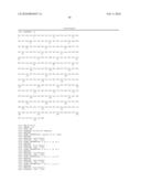 METHOD FOR ENGINEERING IMMUNOGLOBULINS diagram and image