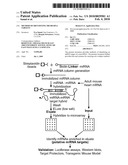 METHOD OF IDENTIFYING MICRO-RNA TARGETS diagram and image