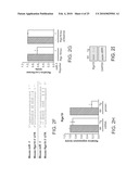 METHOD OF IDENTIFYING MICRO-RNA TARGETS diagram and image