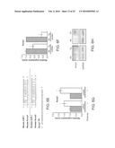 METHOD OF IDENTIFYING MICRO-RNA TARGETS diagram and image