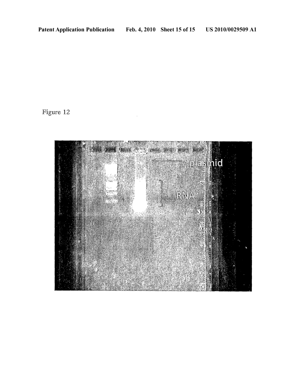 NOVEL METHODS - diagram, schematic, and image 16