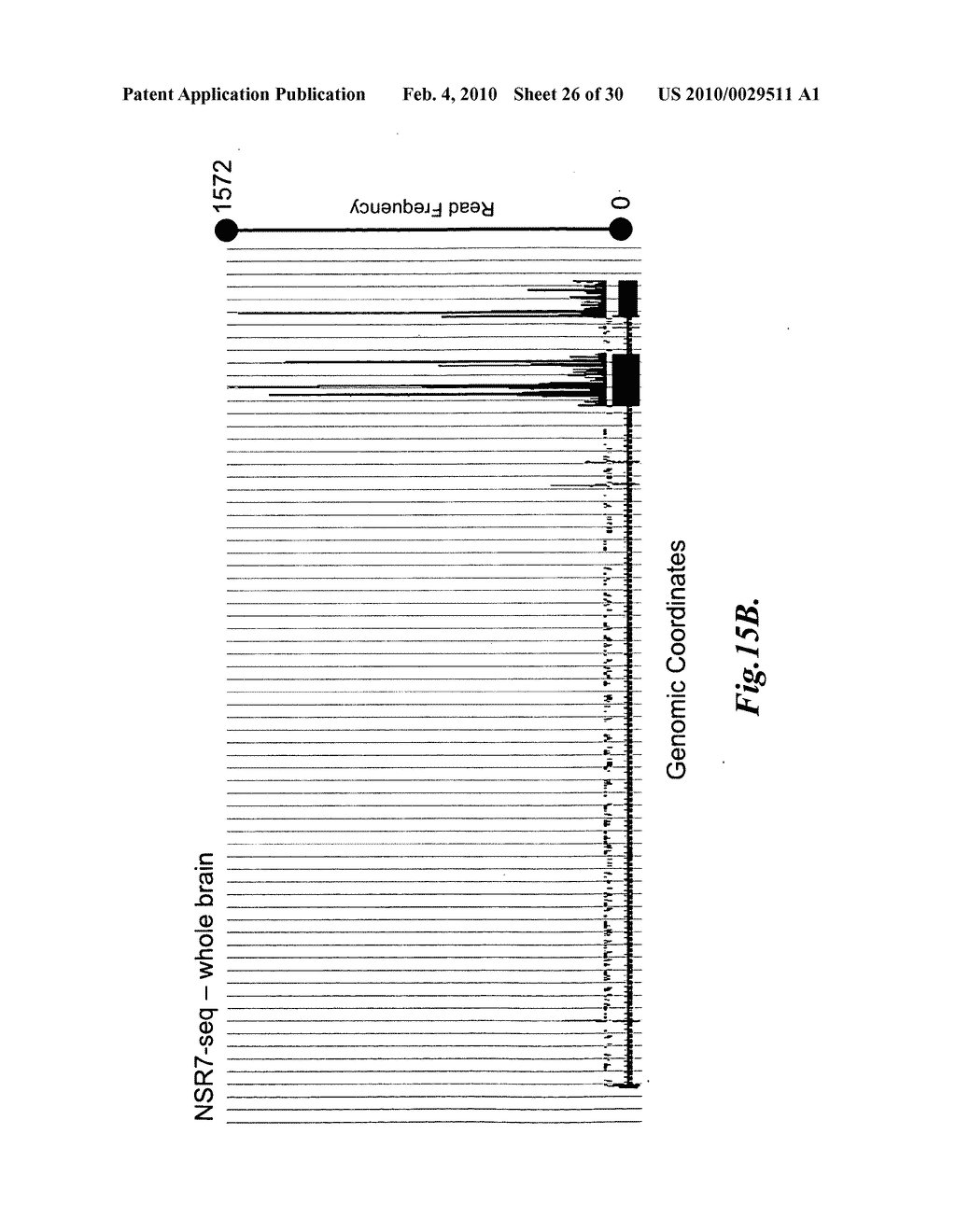 CDNA SYNTHESIS USING NON-RANDOM PRIMERS - diagram, schematic, and image 27