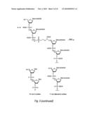 Methods And Compositions For Generating Mixtures Of Nucleic Acid Molecules diagram and image