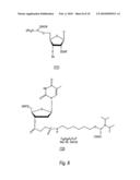 Methods And Compositions For Generating Mixtures Of Nucleic Acid Molecules diagram and image