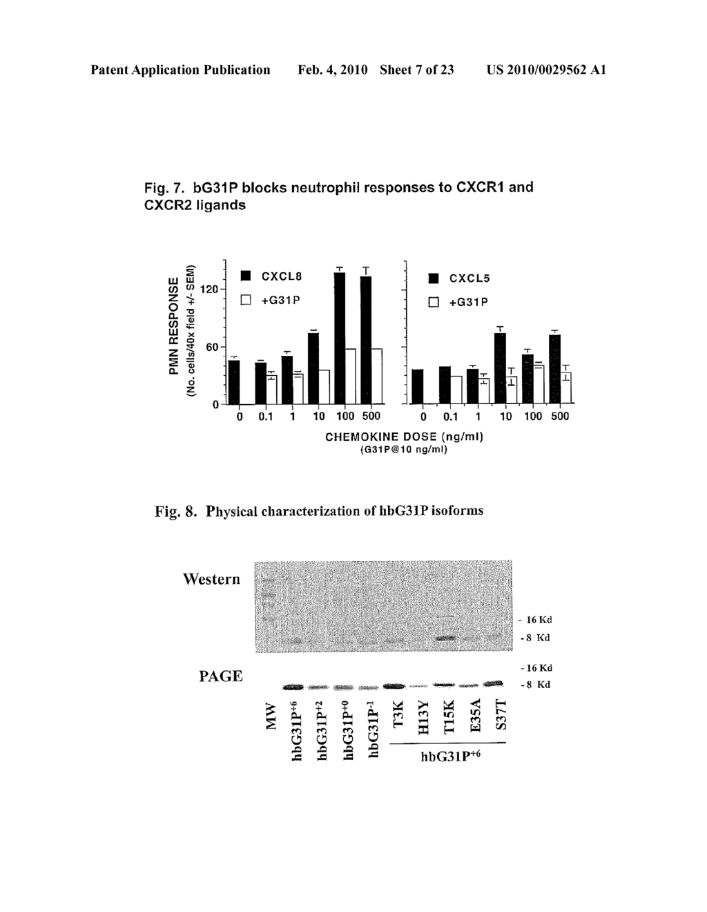 hG31P Expression System - diagram, schematic, and image 08