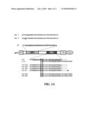 TIGHTER-BINDING C-PEPTIDE INHIBITORS OF HIV-1 ENTRY diagram and image