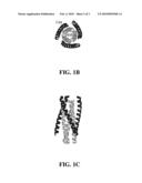 TIGHTER-BINDING C-PEPTIDE INHIBITORS OF HIV-1 ENTRY diagram and image