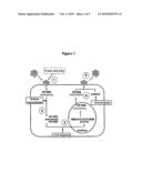 PEPTIDE AND TREATMENT FOR HIV-1 INFECTION diagram and image