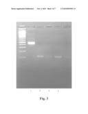 CALCIUM/SODIUM SALT OF INOSITOL TRIPYROPHOSPHATE AS AN ALLOSTERIC EFFECTOR OF HEMOGLOBIN diagram and image