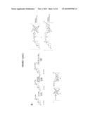 COMPOSITIONS AND METHODS COMPRISING MAGNETIC RESONANCE CONTRAST AGENTS diagram and image