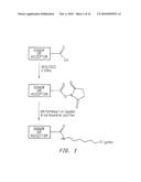 OLIGONUCLEOTIDES AND ANALOGS LABELED WITH ENERGY TRANSFER DYES diagram and image