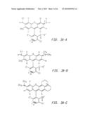 OLIGONUCLEOTIDES AND ANALOGS LABELED WITH ENERGY TRANSFER DYES diagram and image