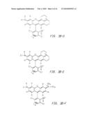 OLIGONUCLEOTIDES AND ANALOGS LABELED WITH ENERGY TRANSFER DYES diagram and image