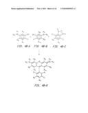 OLIGONUCLEOTIDES AND ANALOGS LABELED WITH ENERGY TRANSFER DYES diagram and image