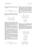 OLIGONUCLEOTIDES AND ANALOGS LABELED WITH ENERGY TRANSFER DYES diagram and image