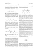 OLIGONUCLEOTIDES AND ANALOGS LABELED WITH ENERGY TRANSFER DYES diagram and image