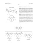 OLIGONUCLEOTIDES AND ANALOGS LABELED WITH ENERGY TRANSFER DYES diagram and image