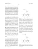 OLIGONUCLEOTIDES AND ANALOGS LABELED WITH ENERGY TRANSFER DYES diagram and image