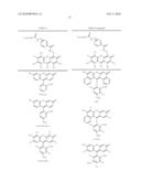 OLIGONUCLEOTIDES AND ANALOGS LABELED WITH ENERGY TRANSFER DYES diagram and image