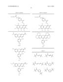 OLIGONUCLEOTIDES AND ANALOGS LABELED WITH ENERGY TRANSFER DYES diagram and image