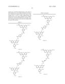 OLIGONUCLEOTIDES AND ANALOGS LABELED WITH ENERGY TRANSFER DYES diagram and image