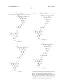 OLIGONUCLEOTIDES AND ANALOGS LABELED WITH ENERGY TRANSFER DYES diagram and image