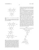 OLIGONUCLEOTIDES AND ANALOGS LABELED WITH ENERGY TRANSFER DYES diagram and image