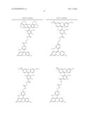 OLIGONUCLEOTIDES AND ANALOGS LABELED WITH ENERGY TRANSFER DYES diagram and image