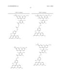 OLIGONUCLEOTIDES AND ANALOGS LABELED WITH ENERGY TRANSFER DYES diagram and image