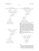 OLIGONUCLEOTIDES AND ANALOGS LABELED WITH ENERGY TRANSFER DYES diagram and image