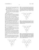 OLIGONUCLEOTIDES AND ANALOGS LABELED WITH ENERGY TRANSFER DYES diagram and image