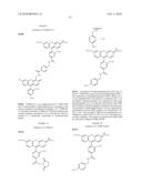 OLIGONUCLEOTIDES AND ANALOGS LABELED WITH ENERGY TRANSFER DYES diagram and image