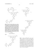 OLIGONUCLEOTIDES AND ANALOGS LABELED WITH ENERGY TRANSFER DYES diagram and image