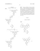 OLIGONUCLEOTIDES AND ANALOGS LABELED WITH ENERGY TRANSFER DYES diagram and image