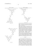 OLIGONUCLEOTIDES AND ANALOGS LABELED WITH ENERGY TRANSFER DYES diagram and image