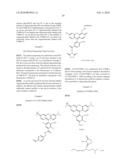 OLIGONUCLEOTIDES AND ANALOGS LABELED WITH ENERGY TRANSFER DYES diagram and image