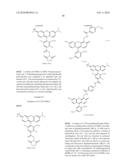 OLIGONUCLEOTIDES AND ANALOGS LABELED WITH ENERGY TRANSFER DYES diagram and image