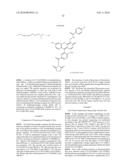 OLIGONUCLEOTIDES AND ANALOGS LABELED WITH ENERGY TRANSFER DYES diagram and image