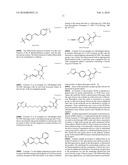 Fluorogenic compounds converted to fluorophores by photochemical or chemical means and their use in biological systems diagram and image