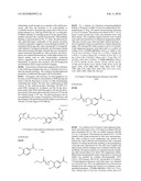 Fluorogenic compounds converted to fluorophores by photochemical or chemical means and their use in biological systems diagram and image