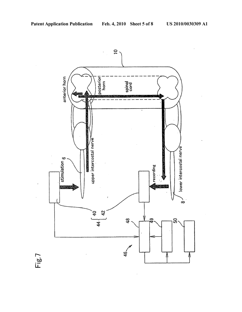 EVOKED SPINAL CORD POTENTIAL MONITORING APPARATUS AND EVOKED SPINAL CORD POTENTIAL MONITORING SYSTEM - diagram, schematic, and image 06