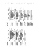 Adder, Synthesis Device Thereof, Synthesis Method, Synthesis Program, and Synthesis Program Storage Medium diagram and image